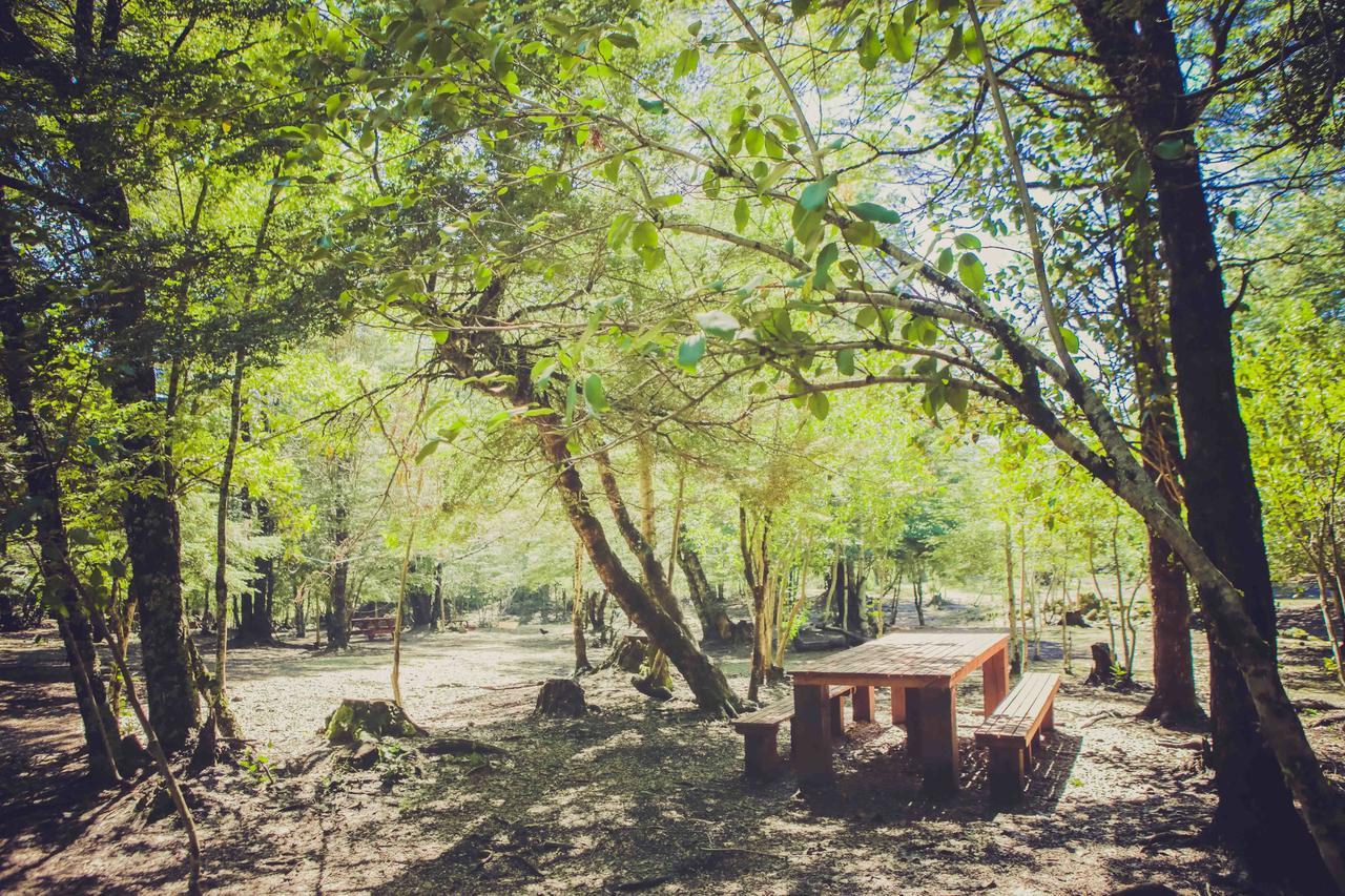 Llaima Camp Villa Curacautin Bagian luar foto