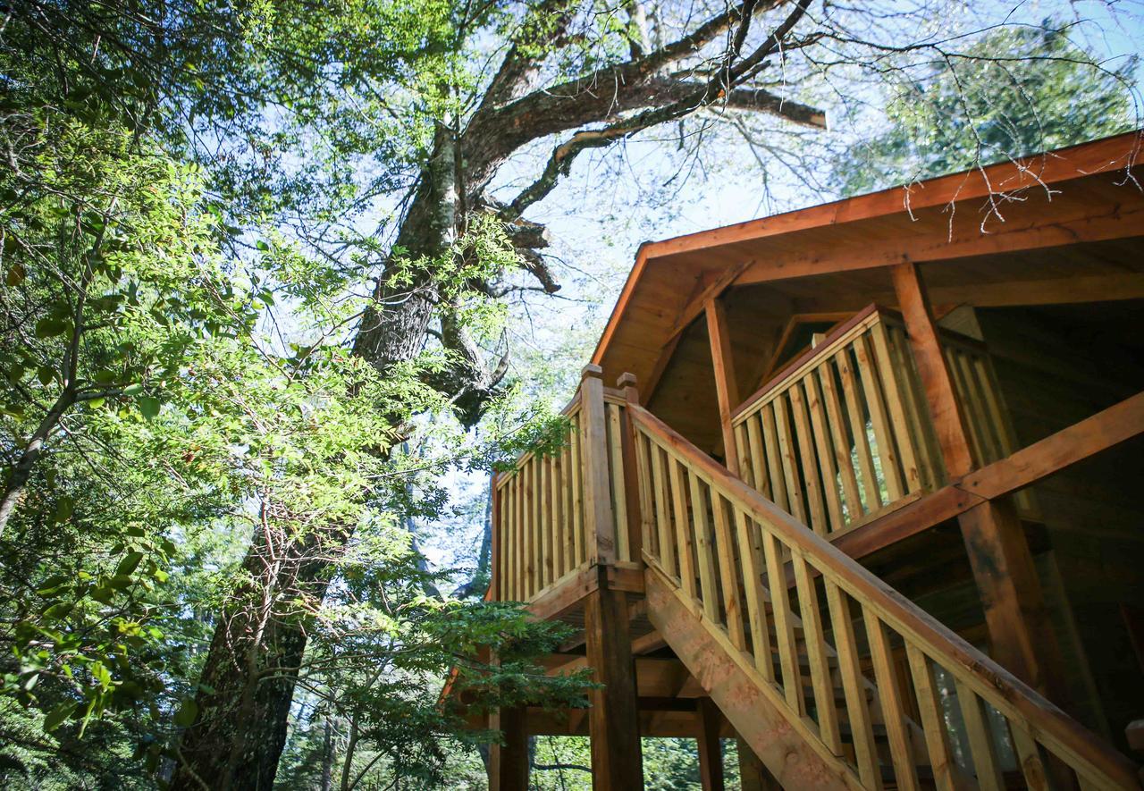 Llaima Camp Villa Curacautin Bagian luar foto