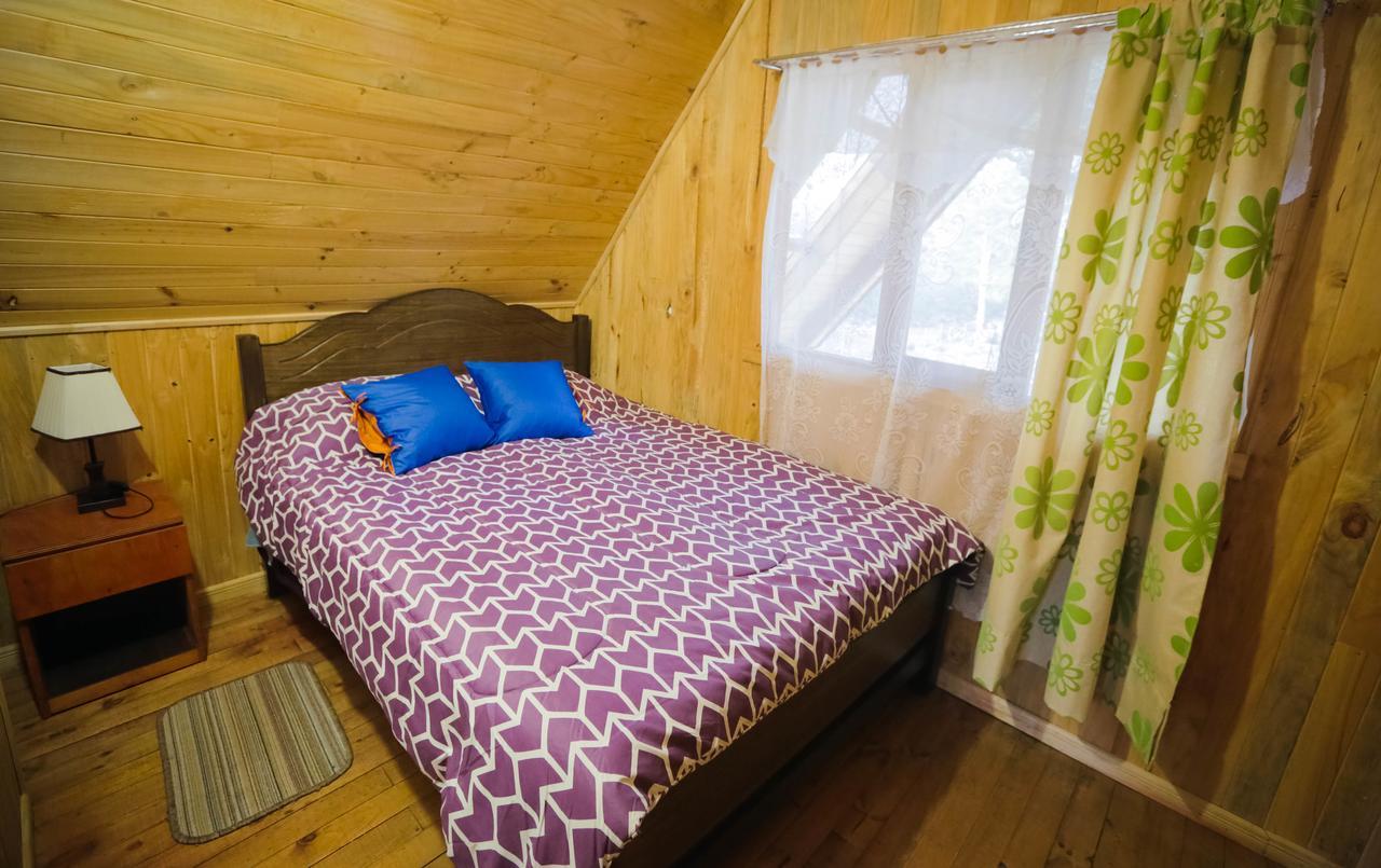 Llaima Camp Villa Curacautin Bagian luar foto