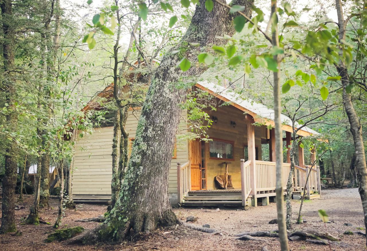 Llaima Camp Villa Curacautin Bagian luar foto