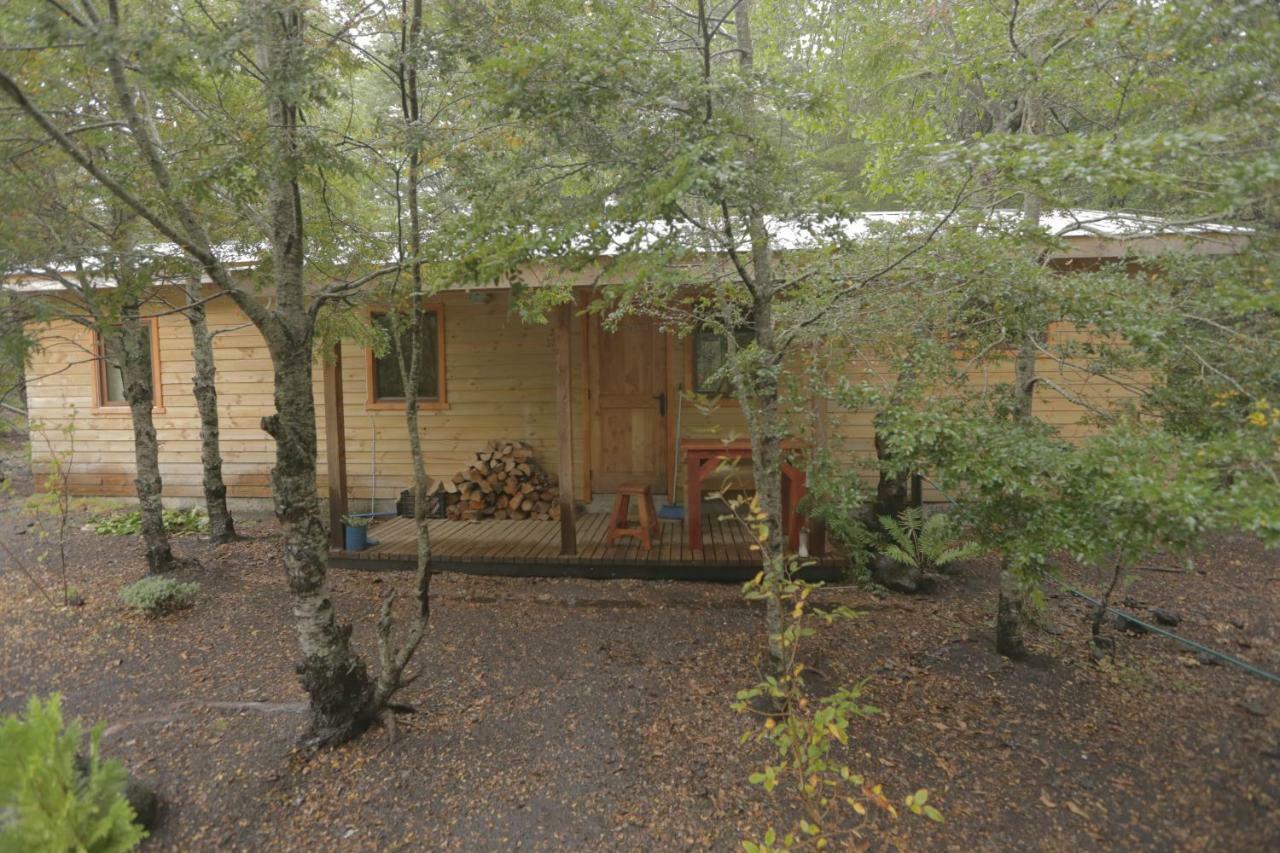 Llaima Camp Villa Curacautin Bagian luar foto