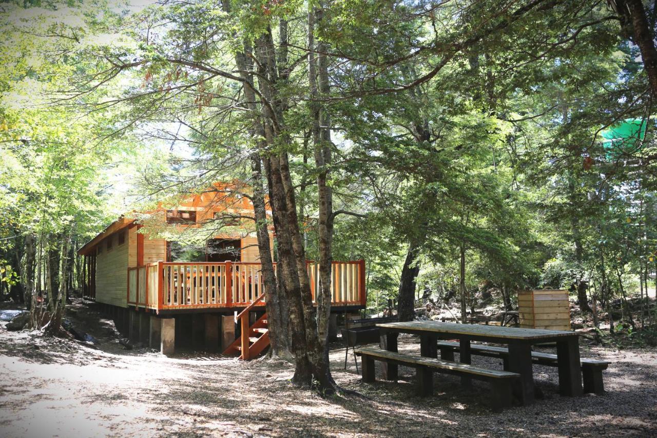 Llaima Camp Villa Curacautin Bagian luar foto